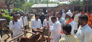 पशु चिकित्सा शिविर में 530 पशुओं का हुआ उपचार