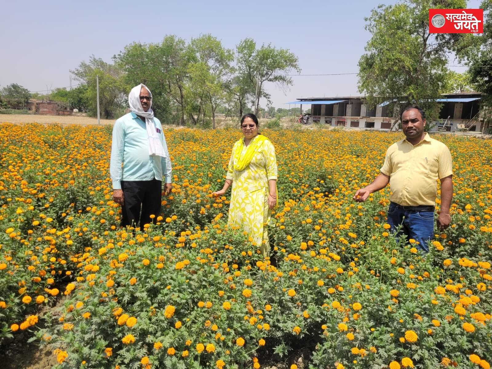 पारंपरिक खेती छोड़ गेंदा फूल की खेती से बदली किस्मत, किसान राम सहाय बने प्रेरणा स्रोत