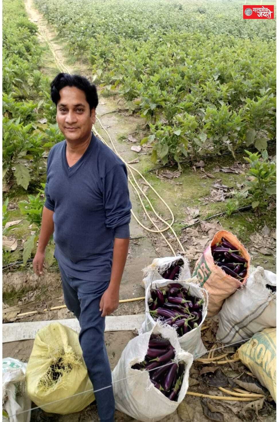 ड्रिप सिंचाई से बैंगन की खेती में बढ़ी उत्पादकता