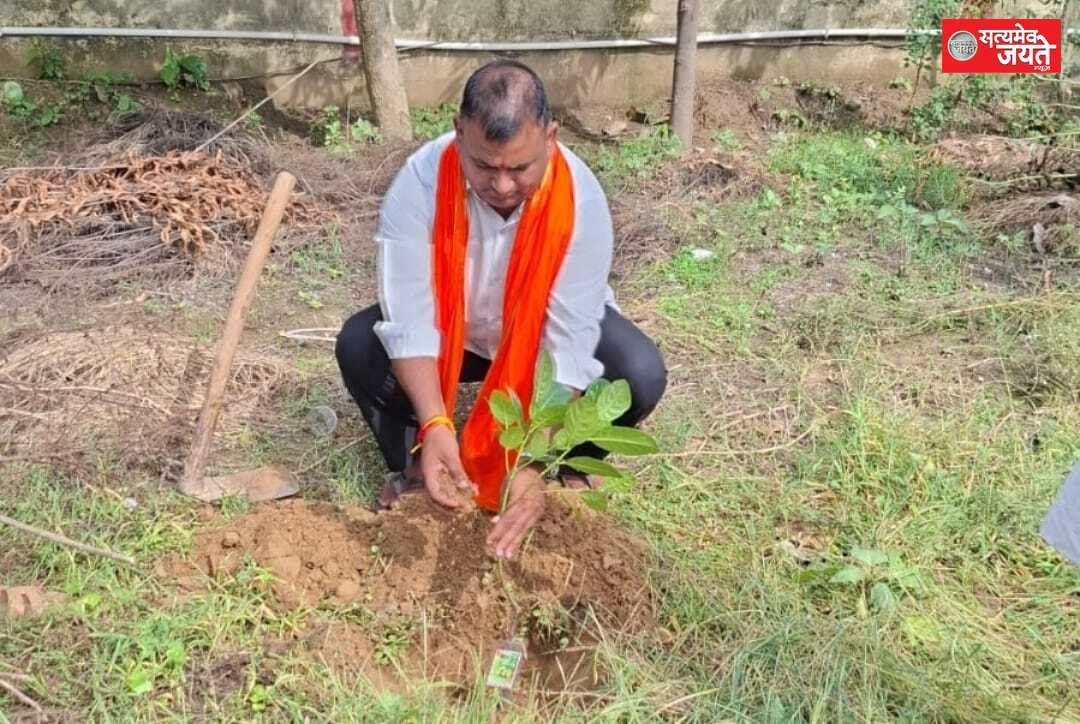 मानवाधिकार सहायता संघ के जिलाध्यक्ष ने कोल्हुआ में किया वृक्षारोपण