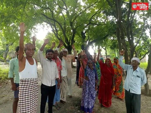 हरे पेड़ से तार बांधकर विद्युत आपूर्ति, ग्रामीणों में आक्रोश