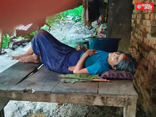 11 साल पुरानी शिकायत के बाद गिरा जर्जर पेड़, महिला घायल