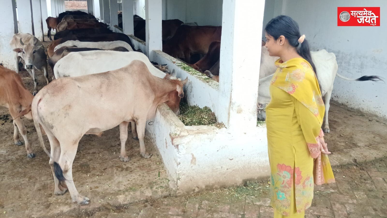 बीडीओ ने गौशाला का किया औचक निरीक्षण