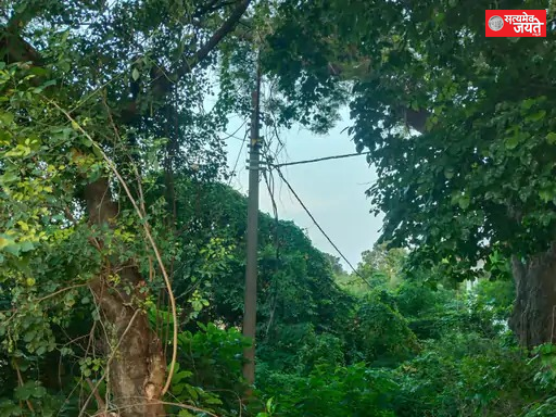 Jaunpur News : वाकई 80s के दौर में लौट आया बदलापुर, 36 घंटे से बत्ती गुल