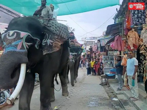 चंदवक के राजा की शोभायात्रा में उमड़ा आस्था का सैलाब, हाथी रहे आकर्षण का केंद्र