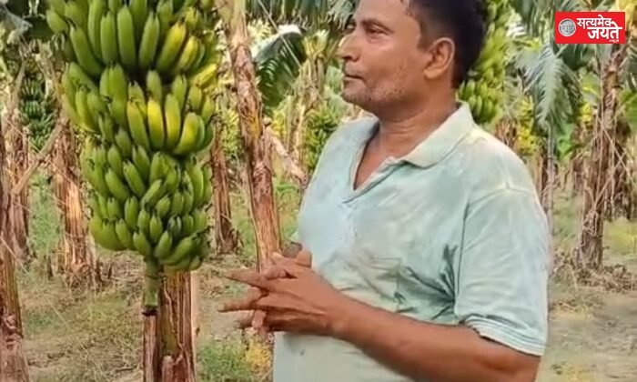 केले की खेती से समृद्धि की ओर बढ़े किसान भौम प्रकाश सिंह