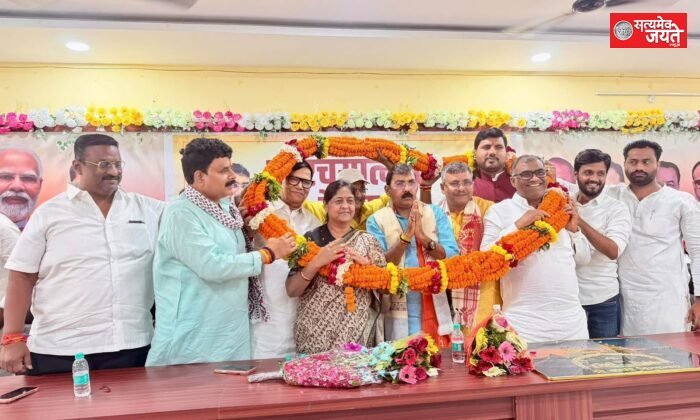 भारतीय जनता पार्टी का प्रत्येक कार्यकर्ता संगठन की असली शक्ति है : शंकर गिरी