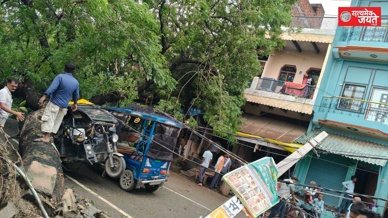 पेड़ गिरने से दो टोटो क्षतिग्रस्त, यातायात बाधित