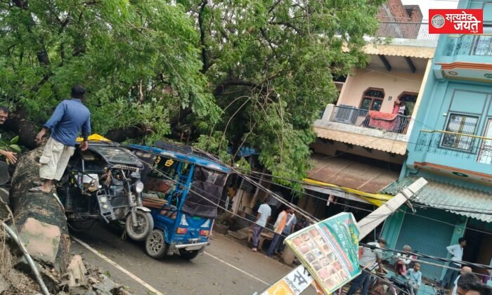 पेड़ गिरने से दो टोटो क्षतिग्रस्त, यातायात बाधित