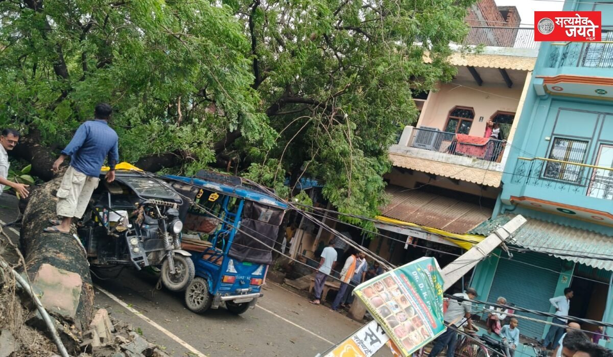 पेड़ गिरने से दो टोटो क्षतिग्रस्त, यातायात बाधित