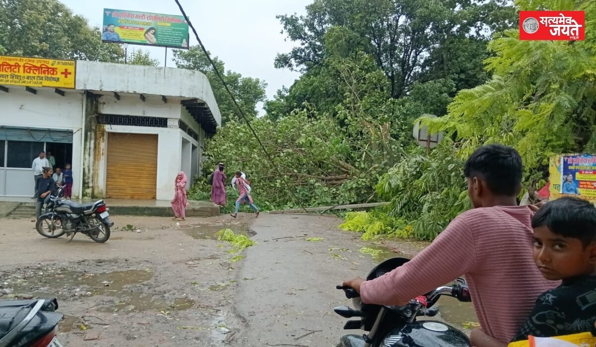 आंधी से जगह-जगह पेड़ गिरे, खंभे व तार टूटे, बिजली आपूर्ति बाधित