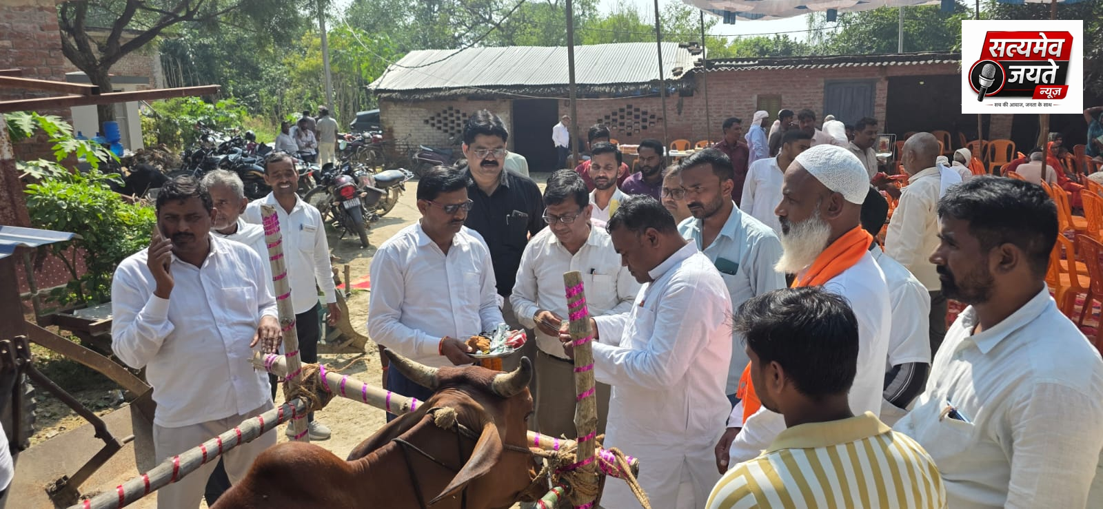 पशु चिकित्सा शिविर में 530 पशुओं का हुआ उपचार