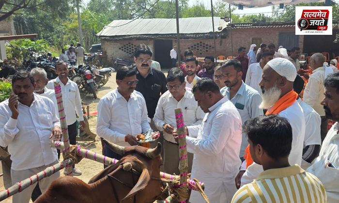 पशु चिकित्सा शिविर में 530 पशुओं का हुआ उपचार